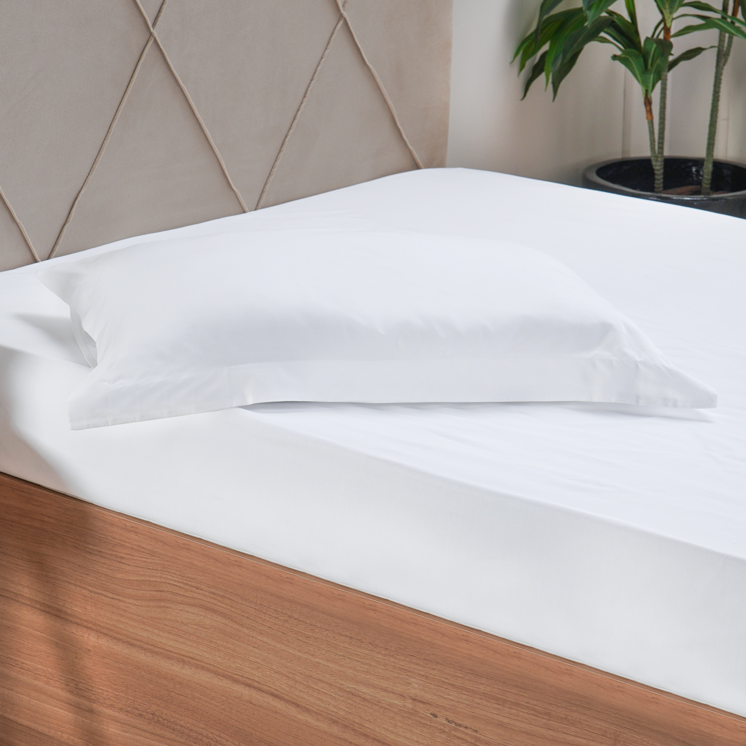 LENÇOL COM ELÁSTICO HOTELARIA QUEEN 1,58cm x 1,98m x 35cm - BRANCO (SC)