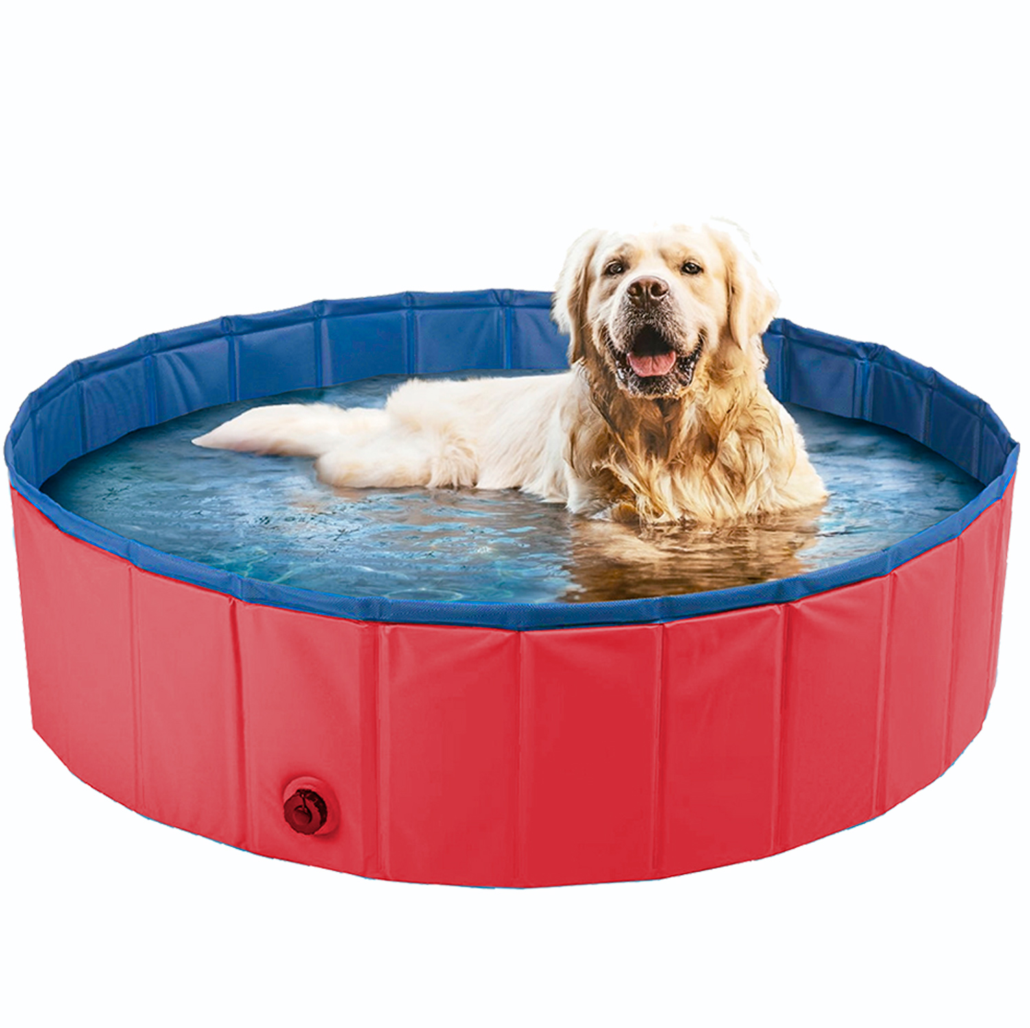 PISCINA MEU PET 80X20 CM - SORTIDO (SC)